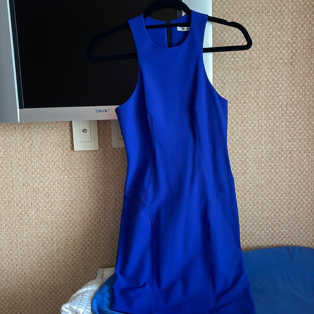 Alexander wang dress